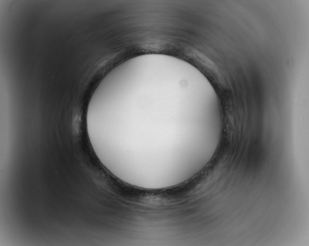 X0000091660596200709201146
