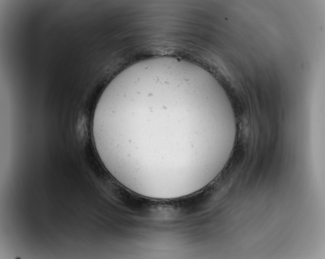 X0000091660598200709201146