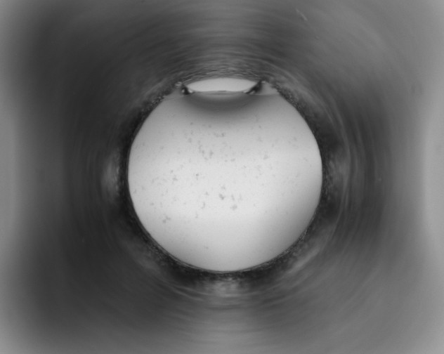 X0000091660600200709201145