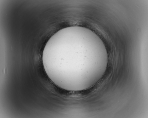 X0000091660601200709201145