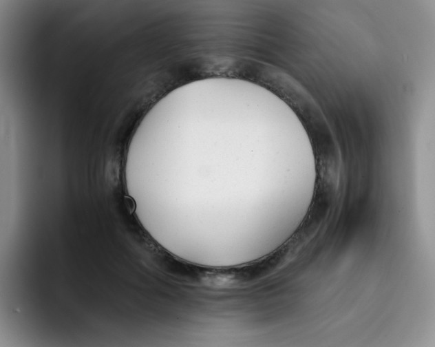 X0000091660602200709201145