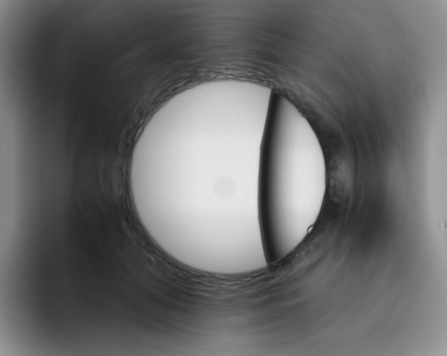 X0000091660608200709201145