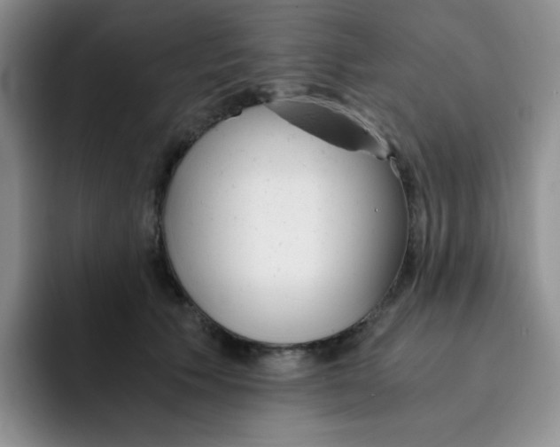 X0000091660609200709201145