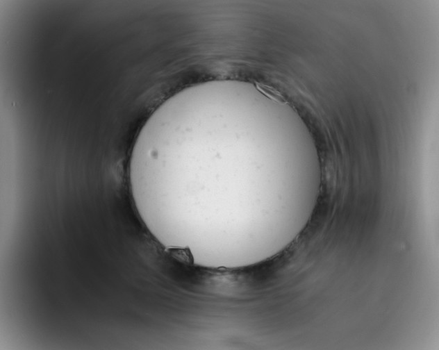 X0000091660611200709201145