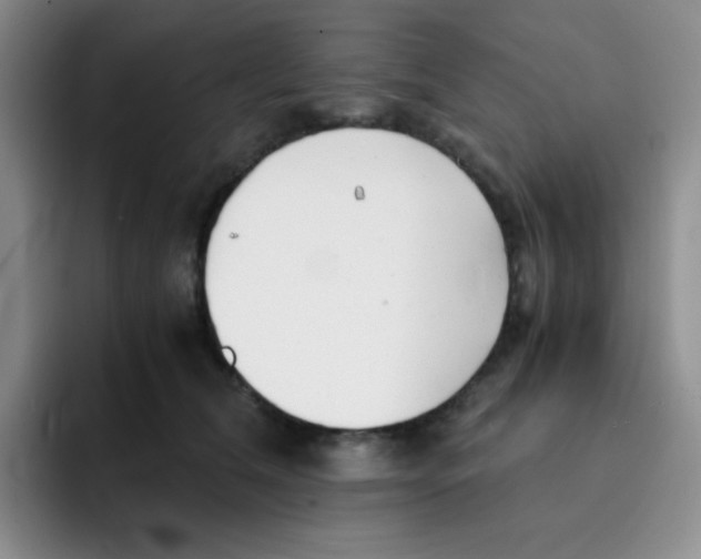 X0000091660612200709201145