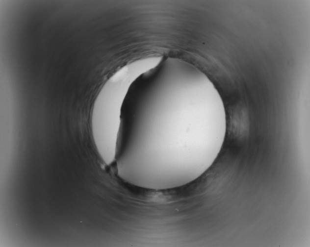 X0000091660616200709201145