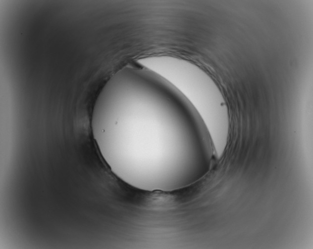 X0000091660617200709201145