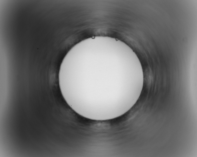 X0000091660619200709201145