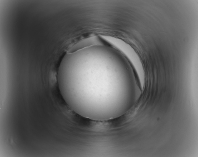 X0000091660621200709201145