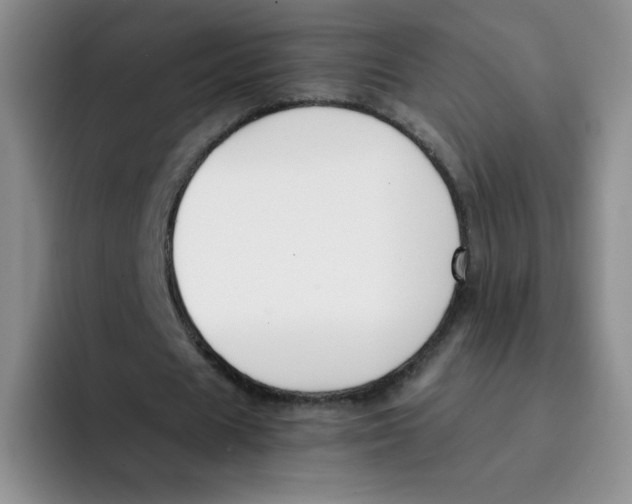 X0000091660625200709201145