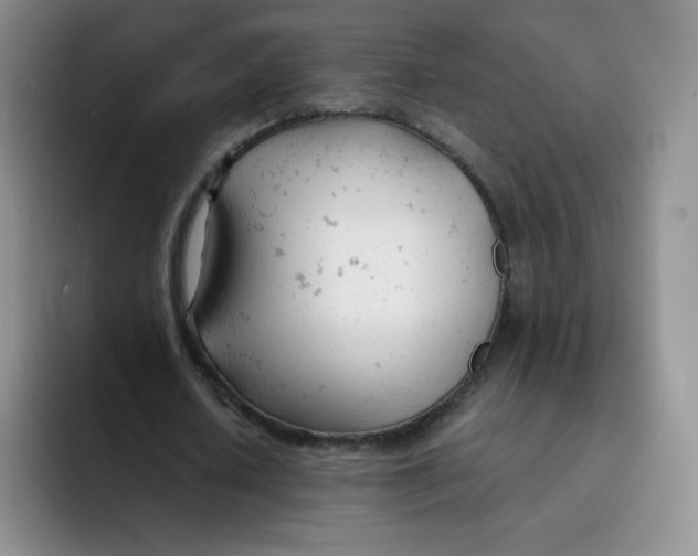 X0000091660626200709201145
