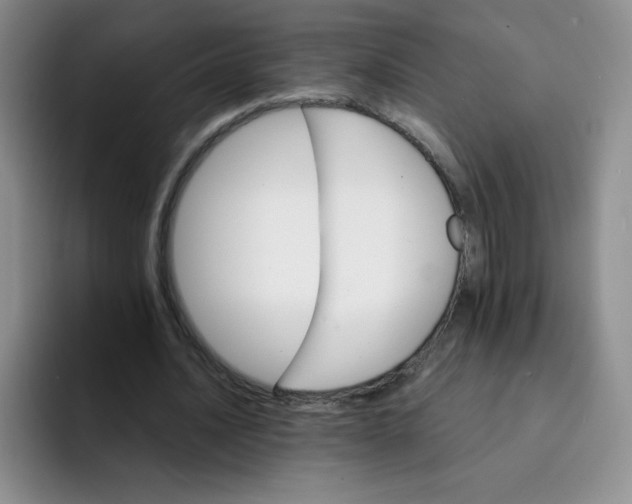 X0000091660628200709201145