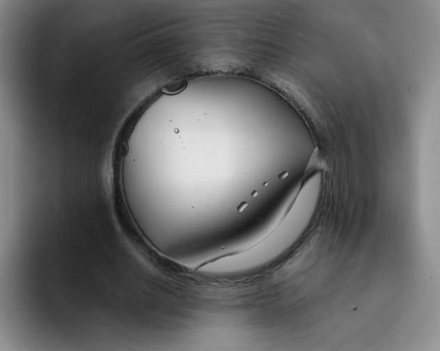 X0000091660630200709201145