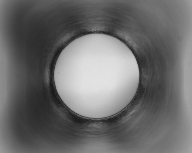 X0000091660631200709201145