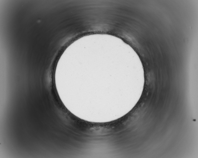 X0000091660632200709201145