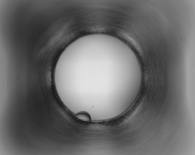 X0000091660633200709201145