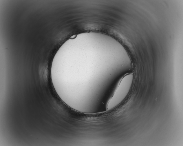X0000091660637200709201145
