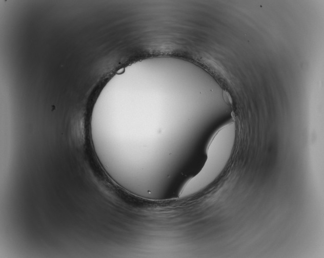X0000091660638200709201145