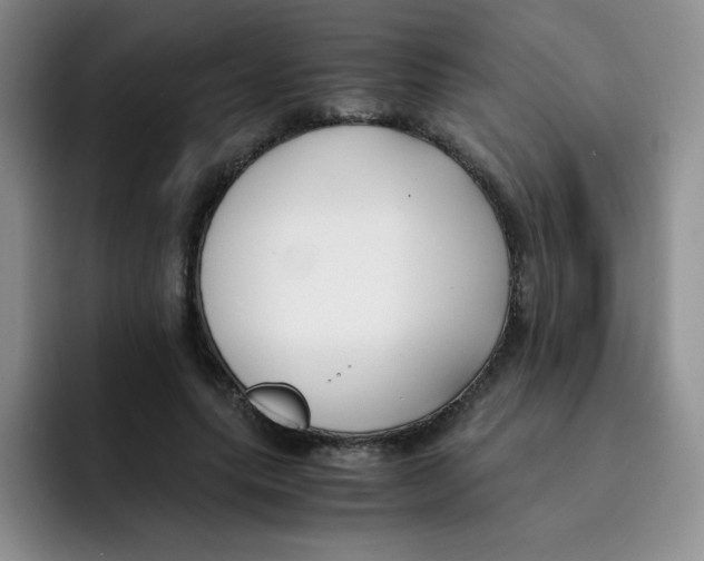 X0000091660639200709201145