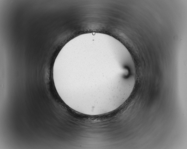 X0000091660640200709201145