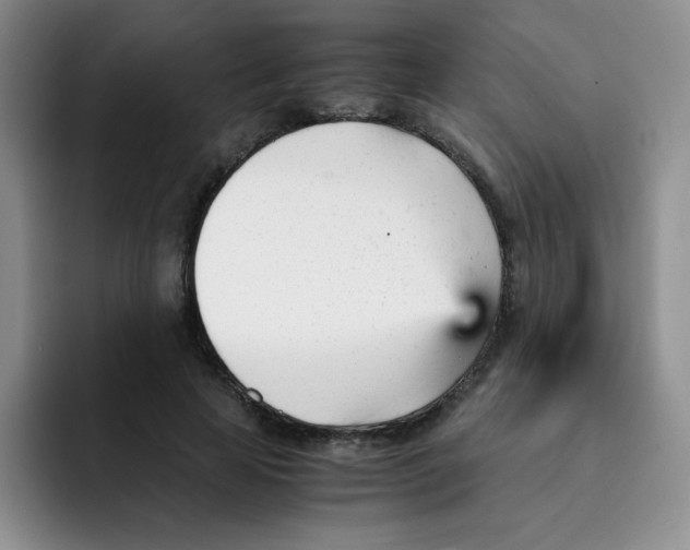 X0000091660641200709201145