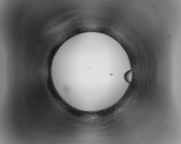 X0000091660642200709201145