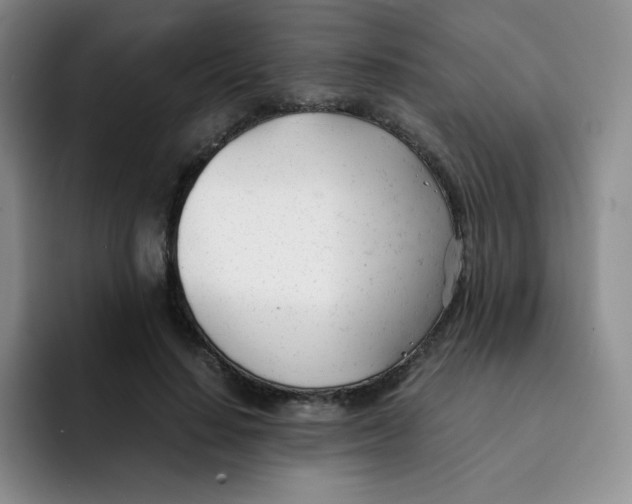 X0000091660644200709201145