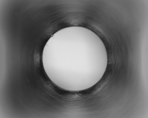 X0000091660646200709201145