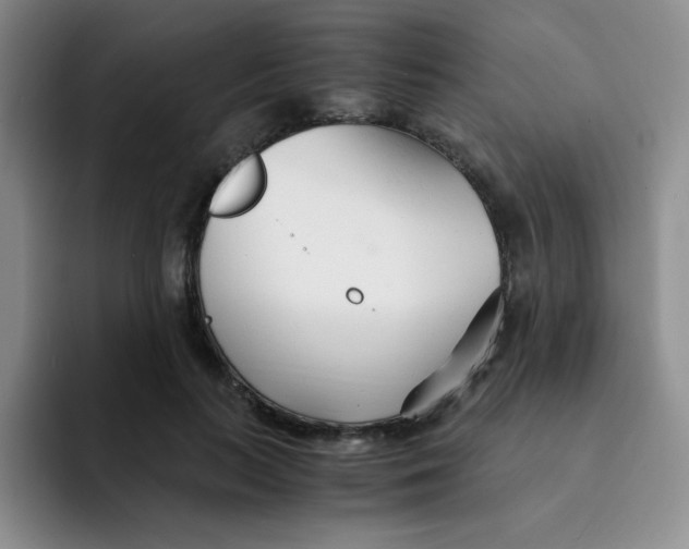 X0000091660647200709201145