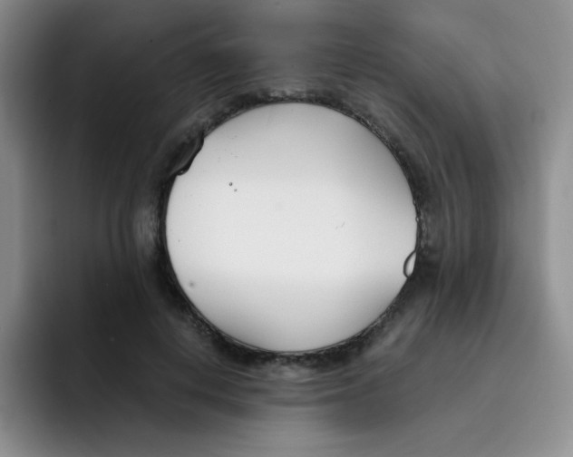 X0000091660648200709201145