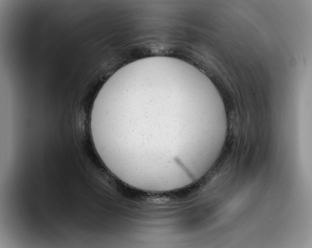 X0000091660650200709201145