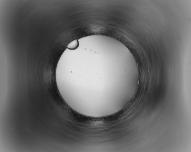 X0000091660651200709201145