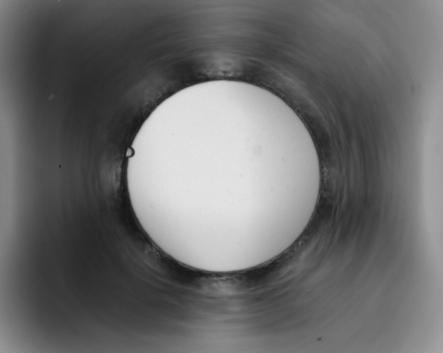 X0000091660652200709201145