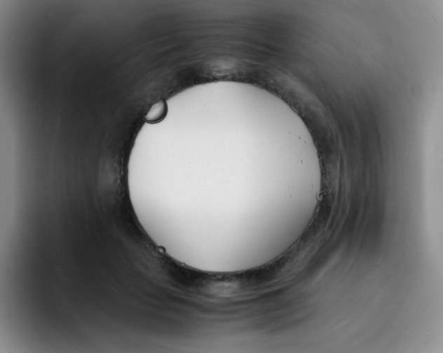 X0000091660653200709201145