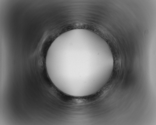 X0000091660654200709201145