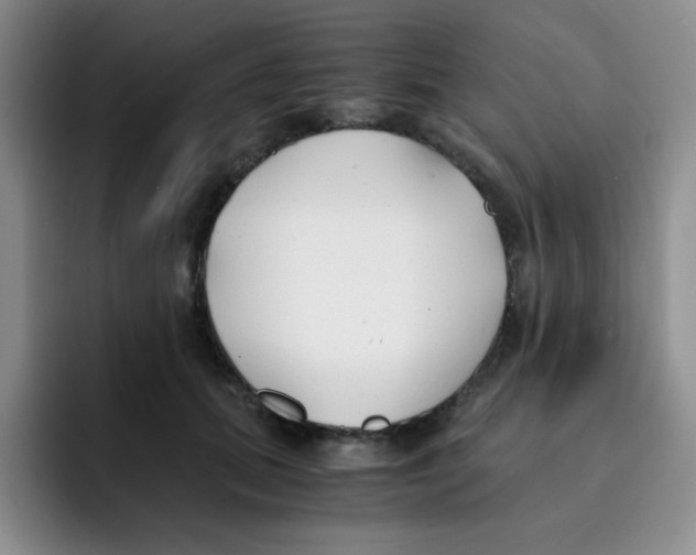 X0000091660655200709201145