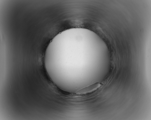 X0000091660658200709201145