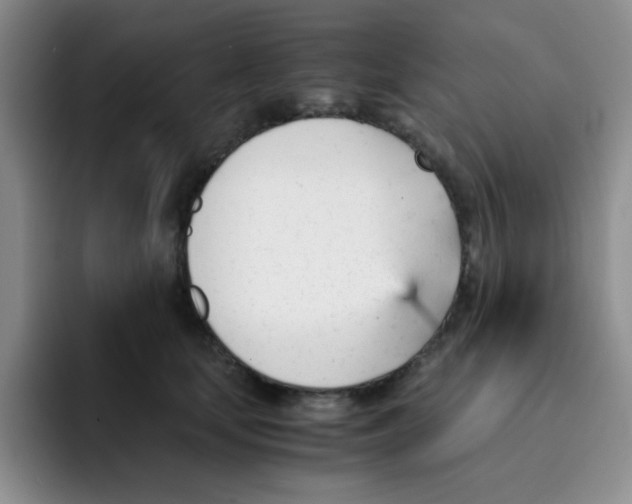 X0000091660659200709201145
