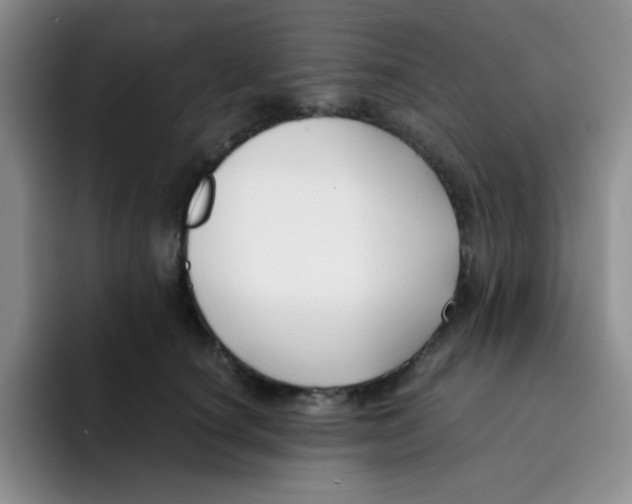 X0000091660660200709201145