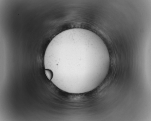 X0000091660661200709201145