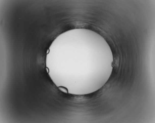 X0000091660666200709201145