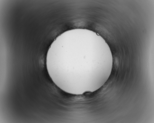 X0000091660668200709201145