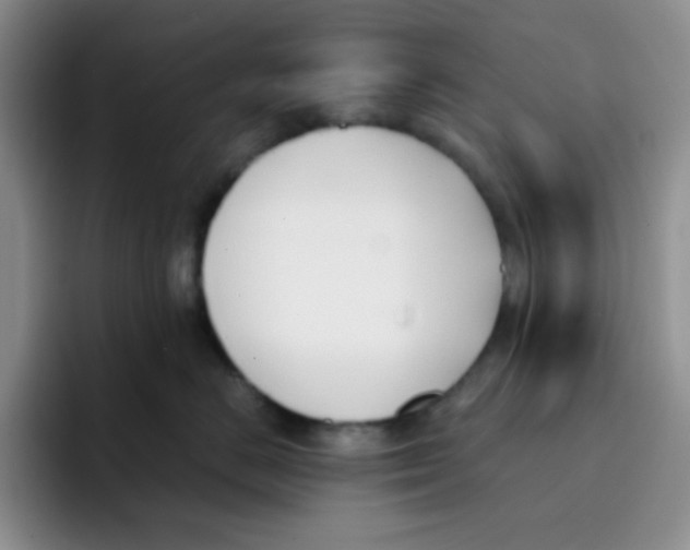 X0000091660670200709201145