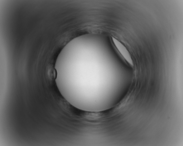 X0000091660671200709201145