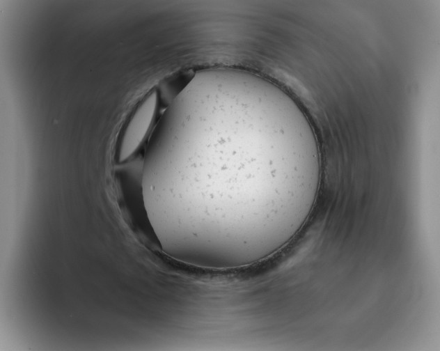 X0000091660673200709201145