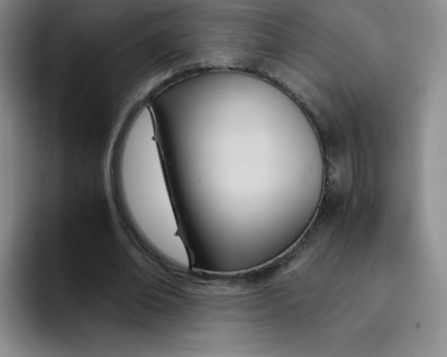 X0000091660678200709201145