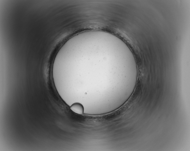 X0000091660679200709201145