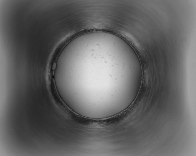 X0000091660680200709201145