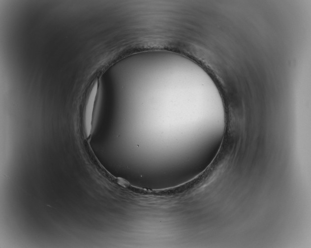 X0000091660681200709201145