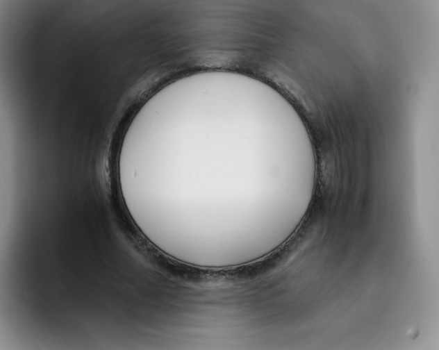 X0000091660682200709201145